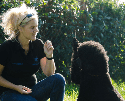 Therapeutin Stefanie mit Therapiehund Mara
